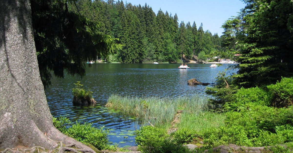 YANG YOGA<br />Natur & Wald Yogaretreat 10.-14. März 2021 YANG YOGA | Natur & Wald Yogaretreat 10.-14. März 2021