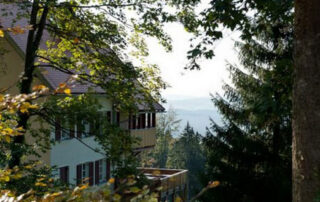 YANG YOGA | Natur & Wald Yogaretreat 10.-14. März 2021