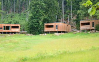 YANG YOGA | Natur & Wald Yogaretreat 10.-14. März 2021