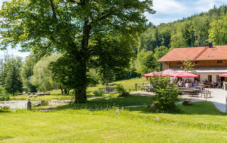 YANG YOGA | Natur & Wald Yogaretreat 10.-14. März 2021