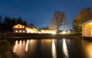 YANG YOGA | Natur & Wald Yogaretreat 10.-14. März 2021
