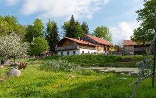 YANG YOGA | Natur & Wald Yogaretreat | GutsAlm Harlachberg