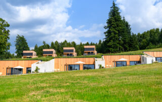 YANG YOGA - Yogaretreat im Bayerischen Wald (Bayern)