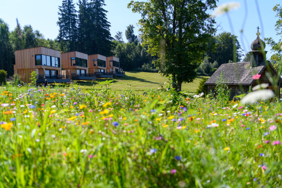 YANG YOGA - Yogaretreat im Bayerischen Wald (Bayern)